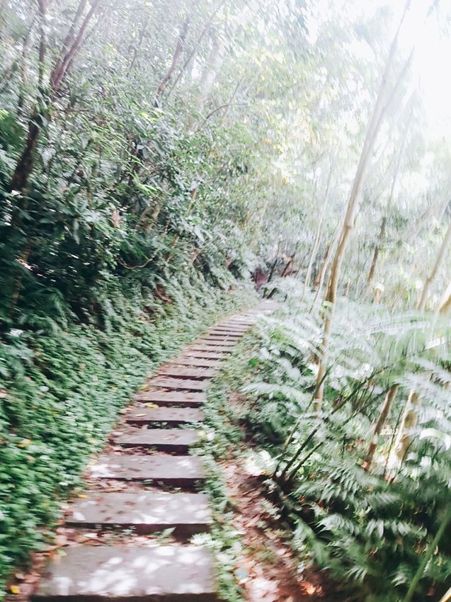 遊記：新北市三峽大板根森林遊樂園區，烤肉、踏青、玩水的好地方6/30前平日可以免費入園