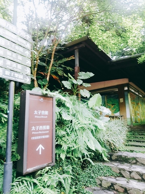 大板根森林遊樂園 (18).jpg - 2020 生活