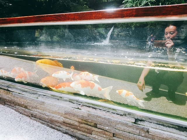 大板根森林遊樂園 (17).jpg - 2020 生活