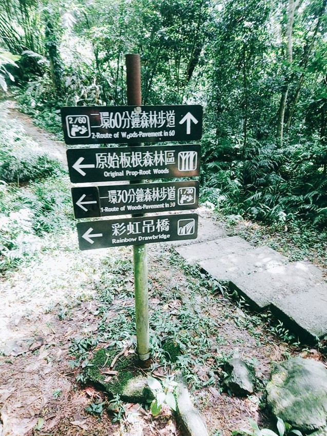 遊記：新北市三峽大板根森林遊樂園區，烤肉、踏青、玩水的好地方6/30前平日可以免費入園