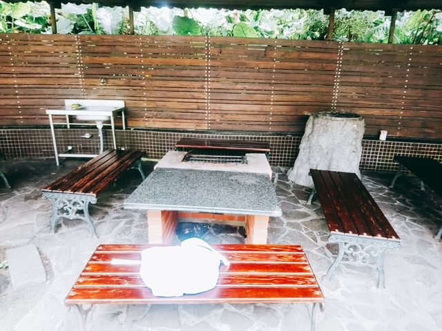 大板根森林遊樂園 (20).jpg - 2020 生活