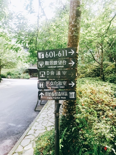 大板根森林遊樂園 (8).jpg - 2020 生活