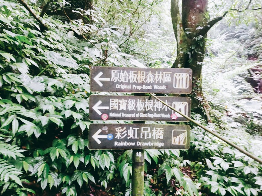 遊記：新北市三峽大板根森林遊樂園區，烤肉、踏青、玩水的好地方6/30前平日可以免費入園