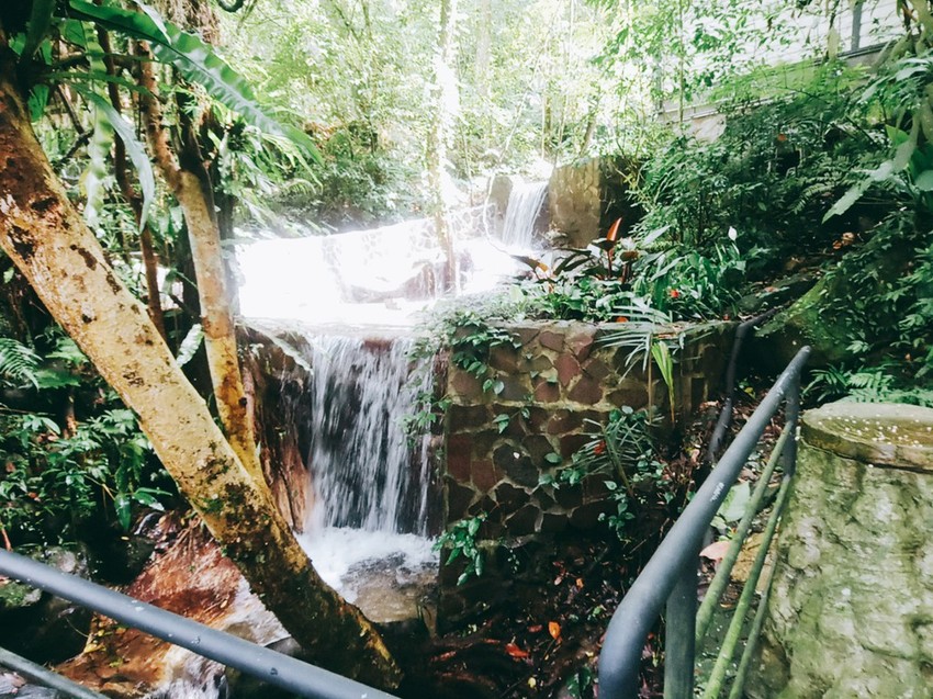 遊記：新北市三峽大板根森林遊樂園區，烤肉、踏青、玩水的好地方6/30前平日可以免費入園