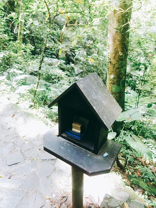 遊記：新北市三峽大板根森林遊樂園區，烤肉、踏青、玩水的好地方6/30前平日可以免費入園