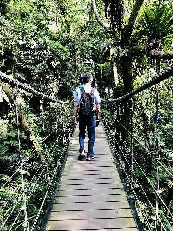 大板根一日遊｜戲水泡湯森林浴，親山親水全家趣，多元設施意猶未盡 @魚兒 x 牽手明太子的「視」界旅行