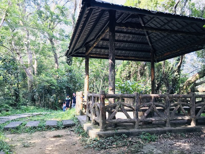 大板根一日遊｜戲水泡湯森林浴，親山親水全家趣，多元設施意猶未盡 @魚兒 x 牽手明太子的「視」界旅行