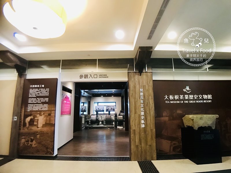 大板根一日遊｜戲水泡湯森林浴，親山親水全家趣，多元設施意猶未盡 @魚兒 x 牽手明太子的「視」界旅行