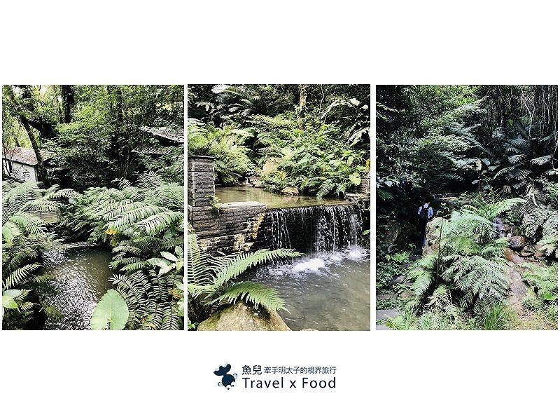 大板根一日遊｜戲水泡湯森林浴，親山親水全家趣，多元設施意猶未盡 @魚兒 x 牽手明太子的「視」界旅行