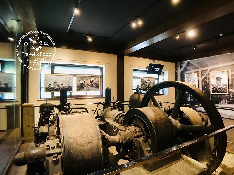 大板根一日遊｜戲水泡湯森林浴，親山親水全家趣，多元設施意猶未盡 @魚兒 x 牽手明太子的「視」界旅行