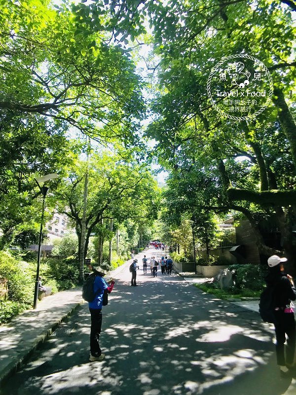 大板根一日遊｜戲水泡湯森林浴，親山親水全家趣，多元設施意猶未盡 @魚兒 x 牽手明太子的「視」界旅行