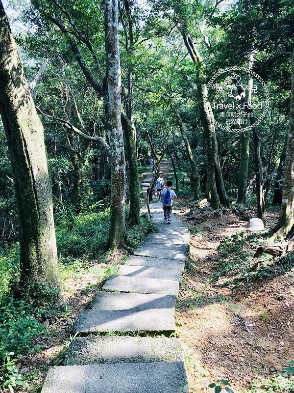 大板根一日遊｜戲水泡湯森林浴，親山親水全家趣，多元設施意猶未盡 @魚兒 x 牽手明太子的「視」界旅行