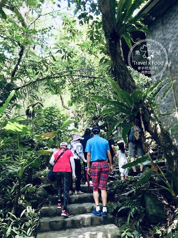 大板根一日遊｜戲水泡湯森林浴，親山親水全家趣，多元設施意猶未盡 @魚兒 x 牽手明太子的「視」界旅行