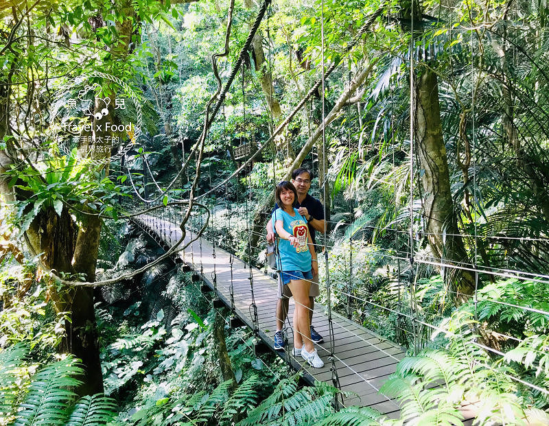 大板根一日遊｜戲水泡湯森林浴，親山親水全家趣，多元設施意猶未盡 @魚兒 x 牽手明太子的「視」界旅行