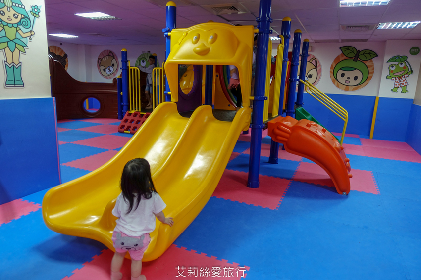 新北三峽景點》大板根原始森林區 限時免費入園 滿滿芬多精 避暑森林步道 - 艾莉絲愛旅行