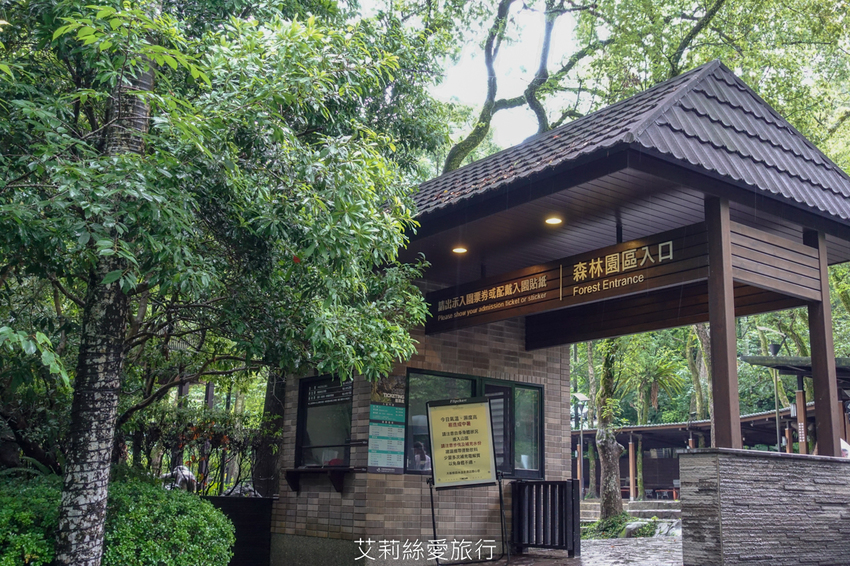 新北三峽景點》大板根原始森林區 限時免費入園 滿滿芬多精 避暑森林步道 - 艾莉絲愛旅行