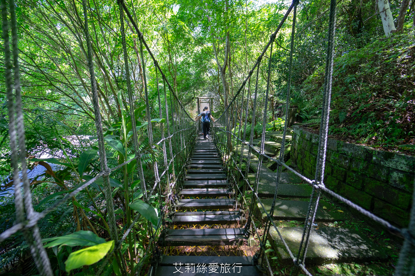 必去三峽景點推薦:大板根森林遊樂區 必去三峽景點推薦:大板根森林遊樂區