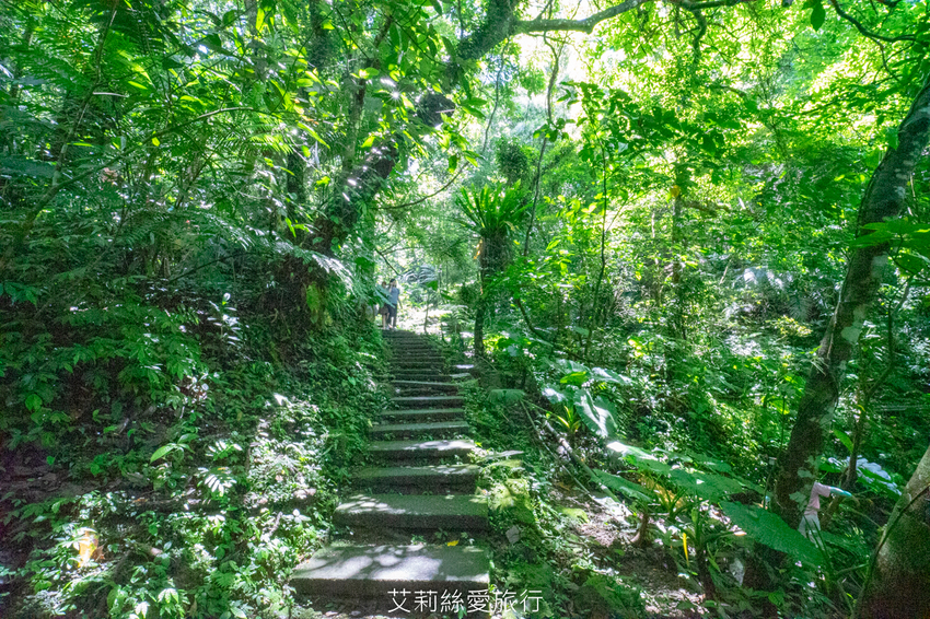 必去三峽景點推薦:大板根森林遊樂區 必去三峽景點推薦:大板根森林遊樂區