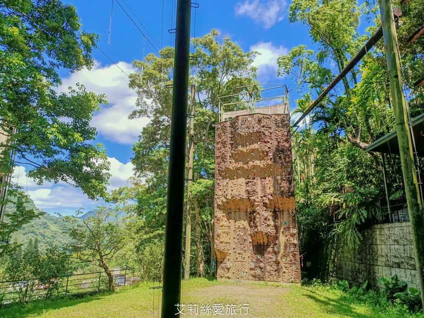 新北三峽景點》大板根原始森林區 限時免費入園 滿滿芬多精 避暑森林步道 - 艾莉絲愛旅行