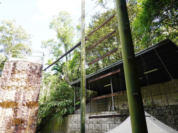 探索教育場地-大板根 (1).jpg 探索教育場地-大板根 (1).jpg