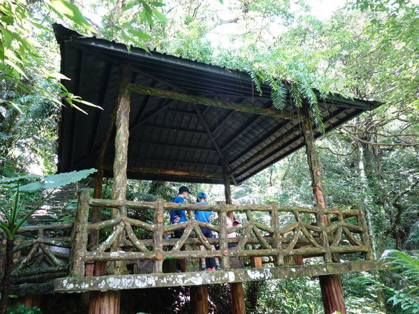 彩虹橋上方涼亭-大板根森林溫泉酒店.JPG 彩虹橋上方涼亭-大板根森林溫泉酒店.JPG