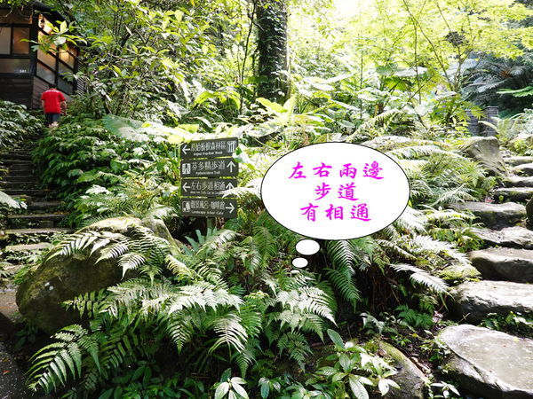 DSC00907.jpg DSC00907.jpg