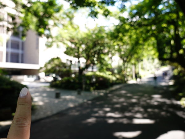 大板根渡假酒店 (3).JPG 大板根渡假酒店 (3).JPG