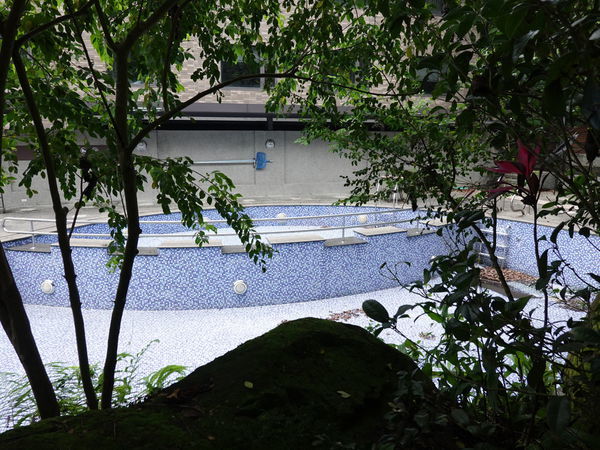 游泳池-大板根森林溫泉酒店.JPG 游泳池-大板根森林溫泉酒店.JPG