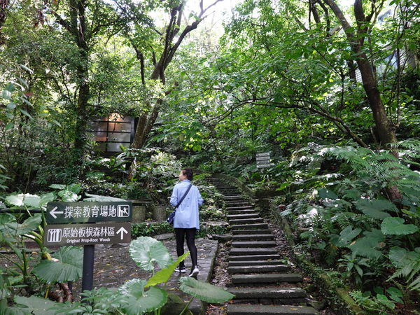 DSC00893.JPG DSC00893.JPG