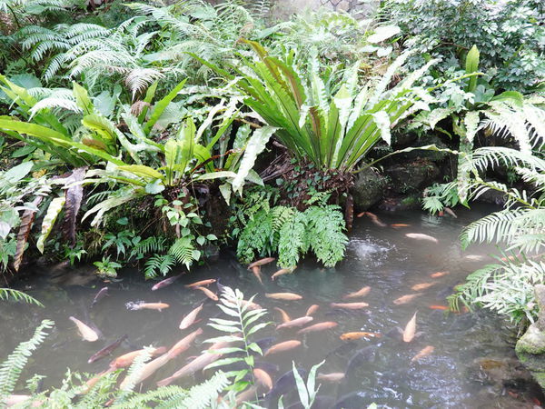 板根便利商店後方廁所 (4).jpg 板根便利商店後方廁所 (4).jpg