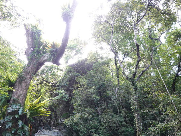 DSC00908.JPG DSC00908.JPG