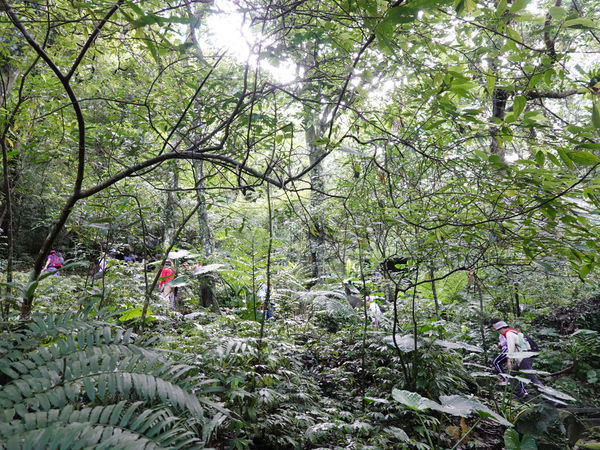 DSC00911.jpg DSC00911.jpg