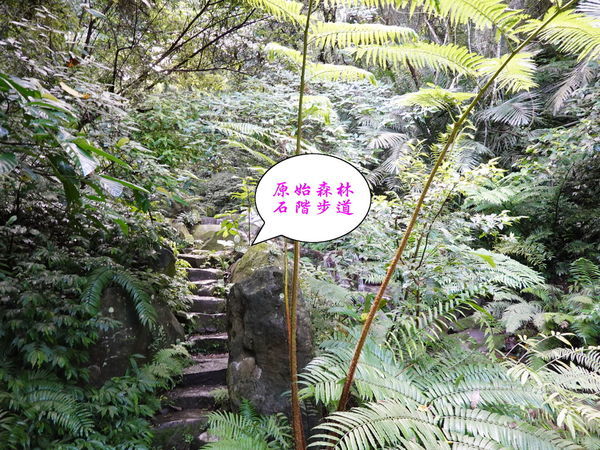 DSC00909.jpg DSC00909.jpg