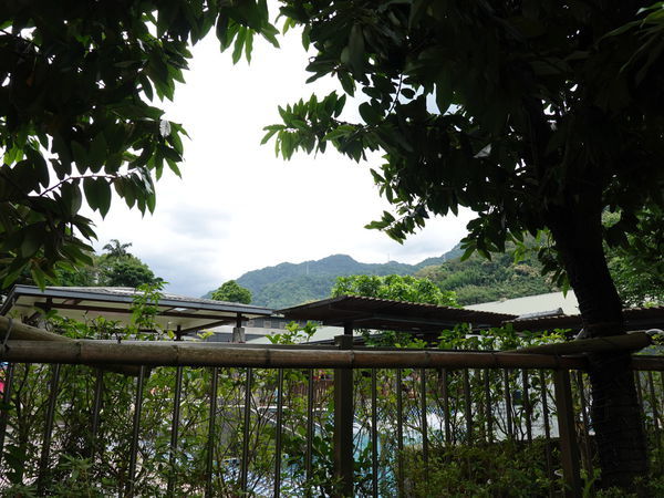 DSC01092.JPG DSC01092.JPG