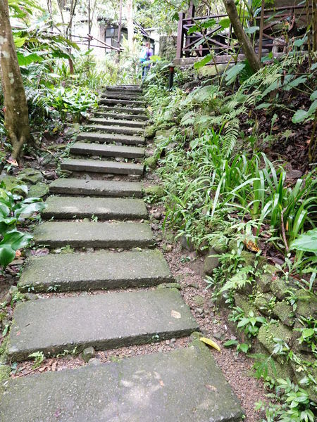 DSC00902.JPG DSC00902.JPG