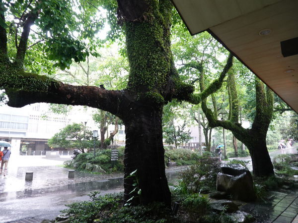 DSC01095.JPG DSC01095.JPG