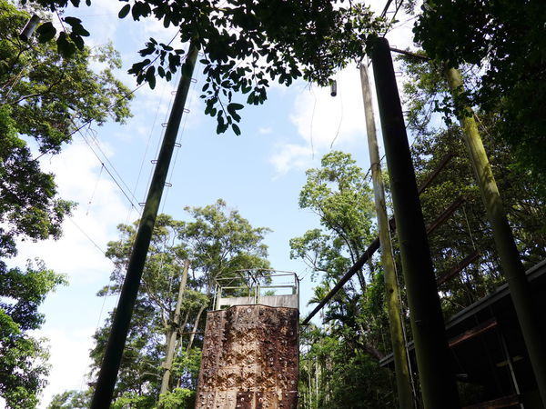 探索教育場地-大板根 (2).jpg 探索教育場地-大板根 (2).jpg