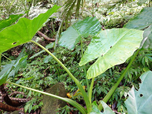 DSC00919.JPG DSC00919.JPG