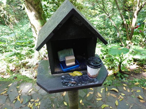 大板根彩虹橋 (3).JPG 大板根彩虹橋 (3).JPG