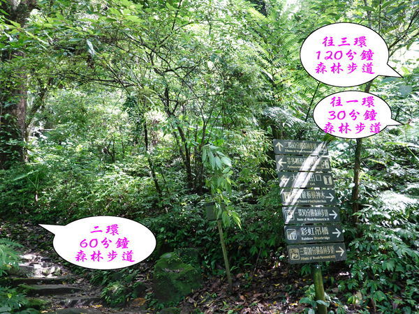 DSC00921.jpg DSC00921.jpg