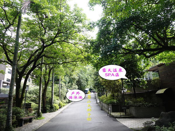 DSC00843.jpg DSC00843.jpg