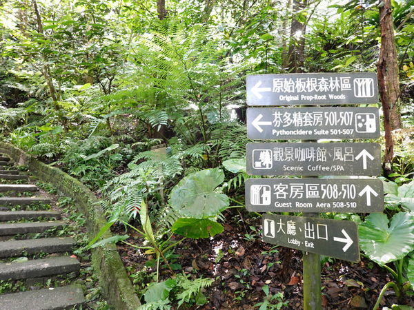 DSC00900.JPG DSC00900.JPG