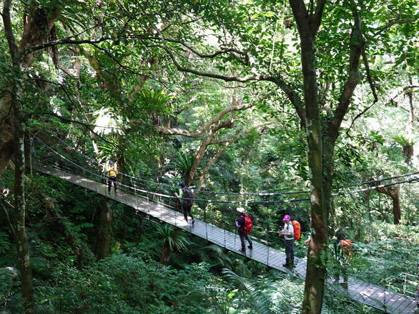 大板根彩虹橋 (1).JPG 大板根彩虹橋 (1).JPG