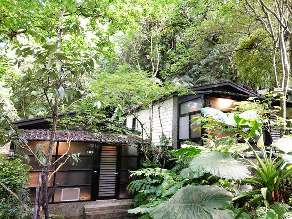 DSC00905.JPG DSC00905.JPG