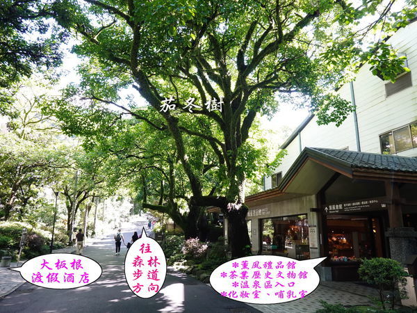 DSC00817.jpg DSC00817.jpg