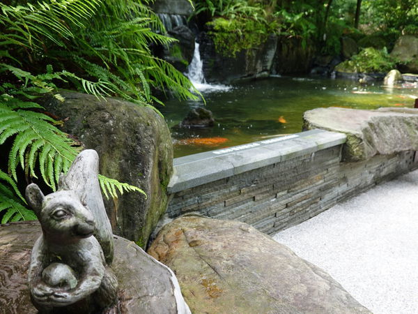 DSC00883.JPG DSC00883.JPG