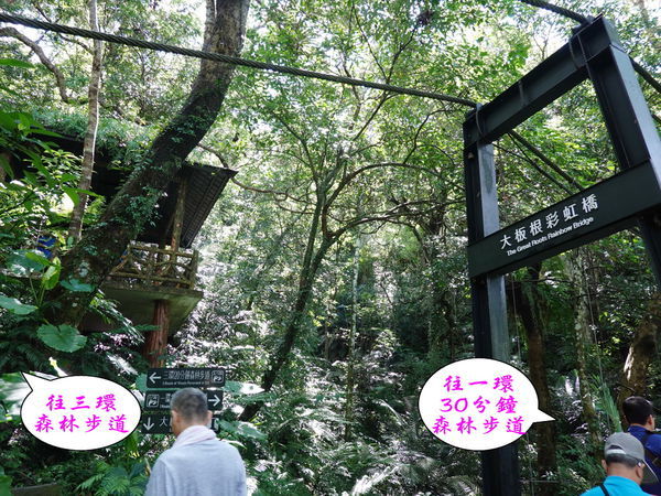 DSC00938.jpg DSC00938.jpg