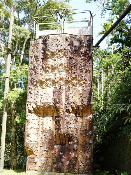 探索教育場地-大板根 (3).jpg 探索教育場地-大板根 (3).jpg