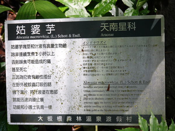 DSC00920.JPG DSC00920.JPG