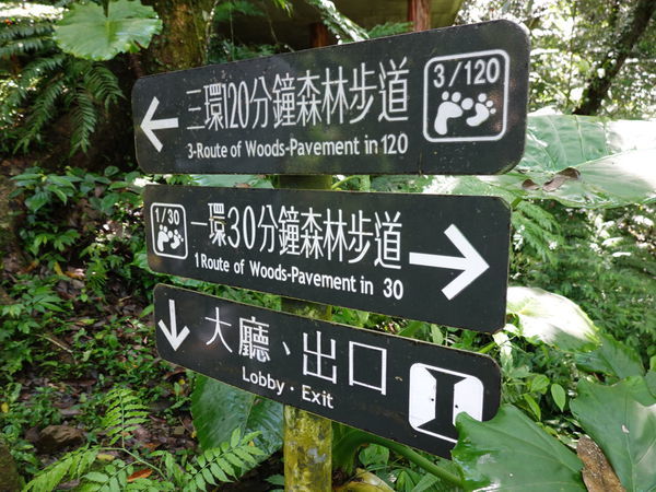 DSC00939.JPG DSC00939.JPG